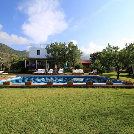 Bal Badem Bungalow ดัตชา ภายนอก รูปภาพ